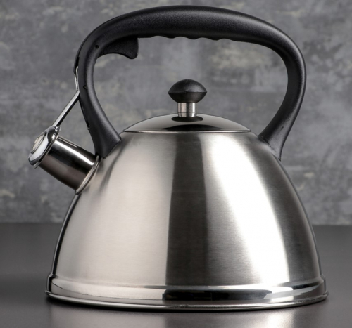 Чайник нержавеющая сталь Чайник нержавеющая сталь