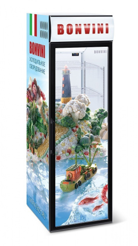 Шкаф холодильный СНЕЖ BONVINI 500 BGC Шкаф холодильный СНЕЖ BONVINI 500 BGC